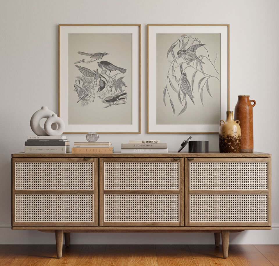 Birds Illustration 2'li Çerçevesiz Poster