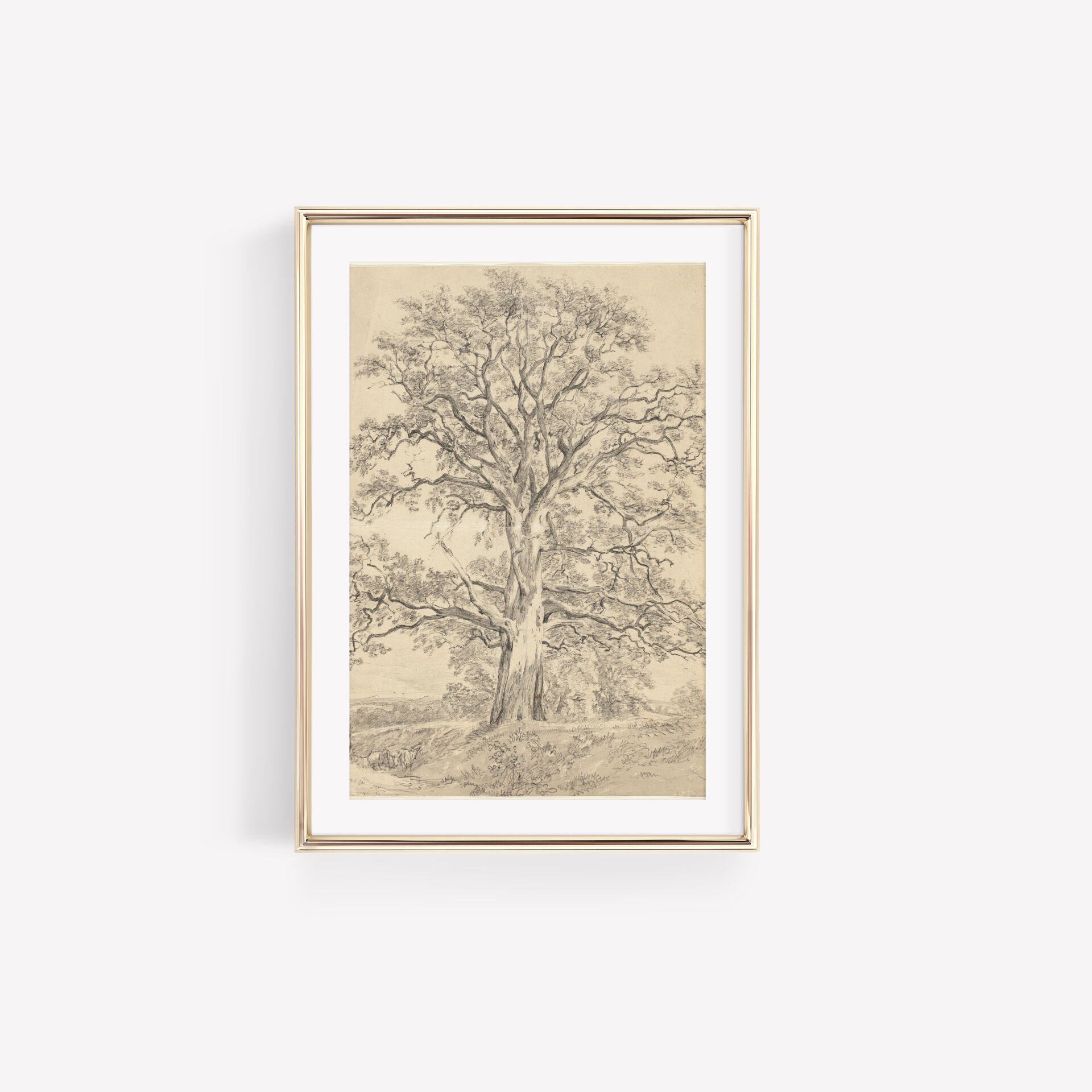 The Oak Tree Çerçevesiz Poster