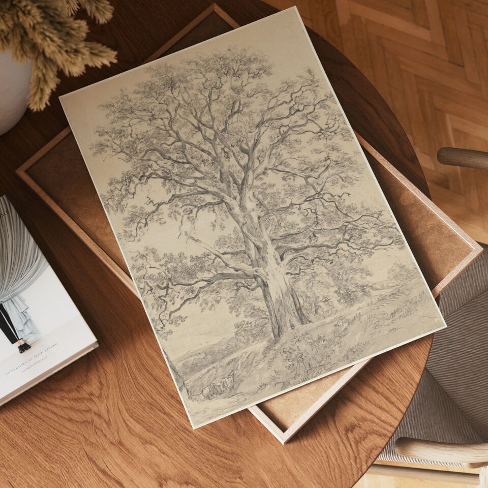 The Oak Tree Çerçevesiz Poster