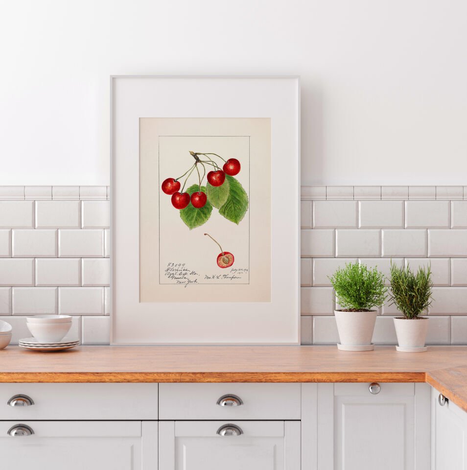 Vintage Cherry Çerçevesiz Poster