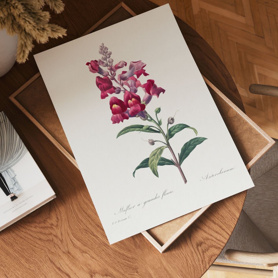 Botanical Snapdragon Çerçevesiz Poster
