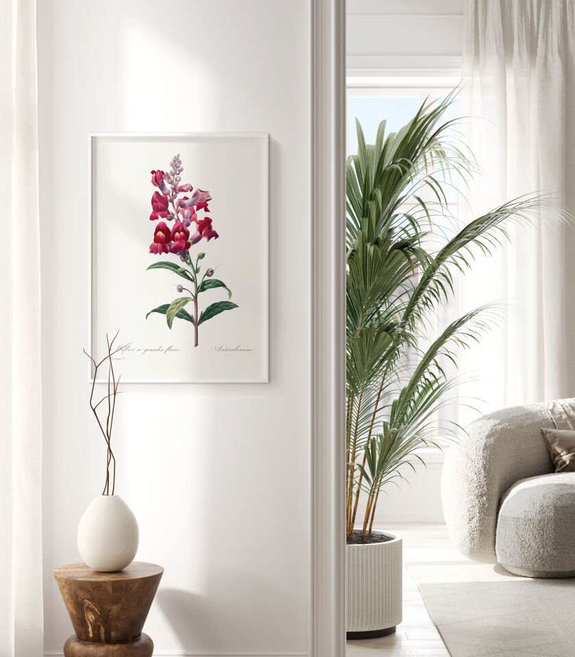 Botanical Snapdragon Çerçevesiz Poster