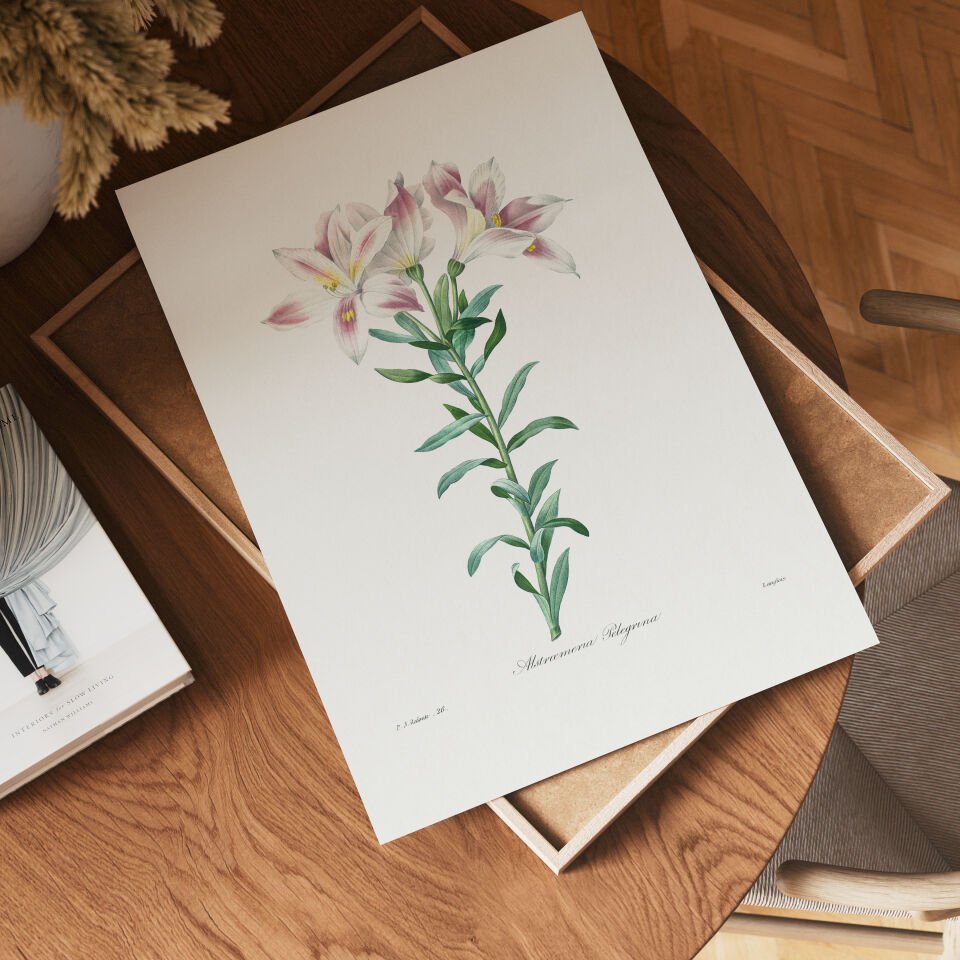 Vintage Lily Botanical Poster