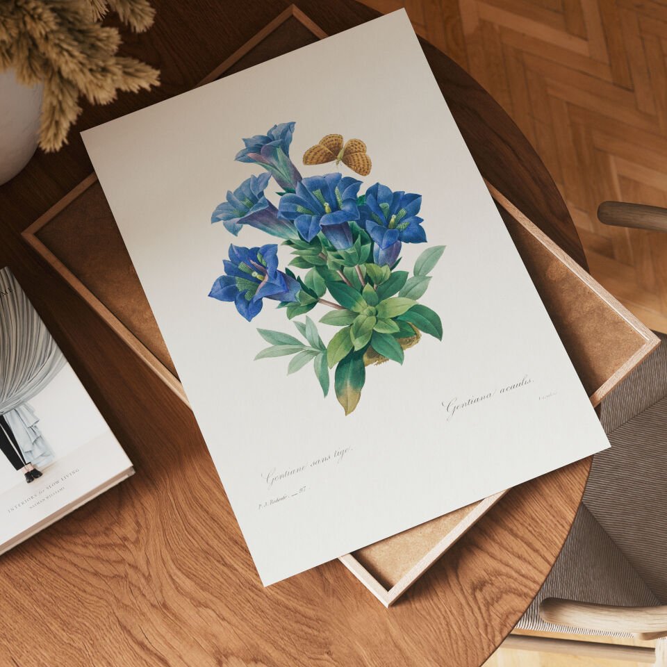 Blue Gentian Botanical Poster