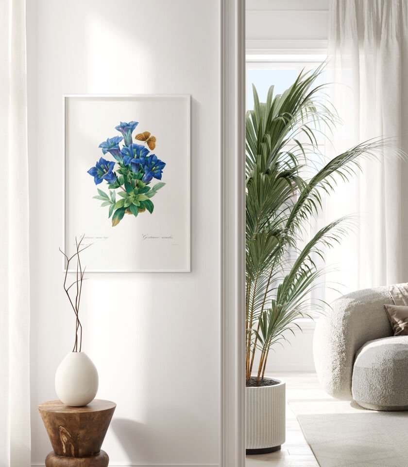 Blue Gentian Botanical Poster