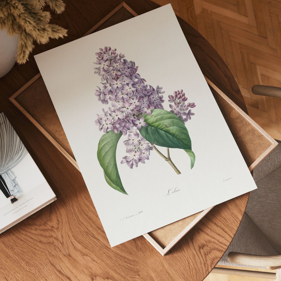 Lilac Botanical Çerçevesiz Poster