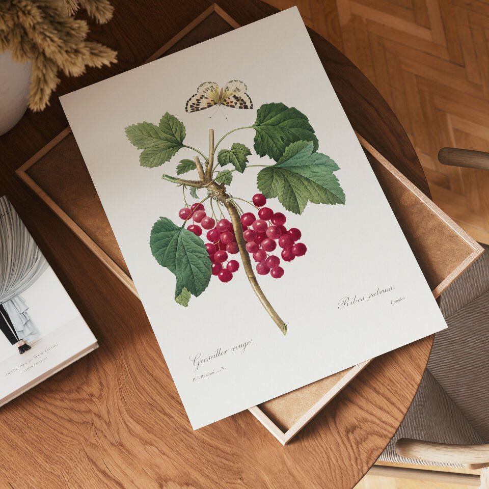 Redcurrant Botanical Çerçevesiz Poster