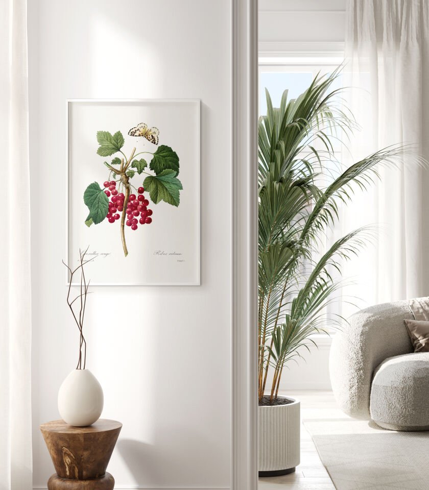 Redcurrant Botanical Çerçevesiz Poster