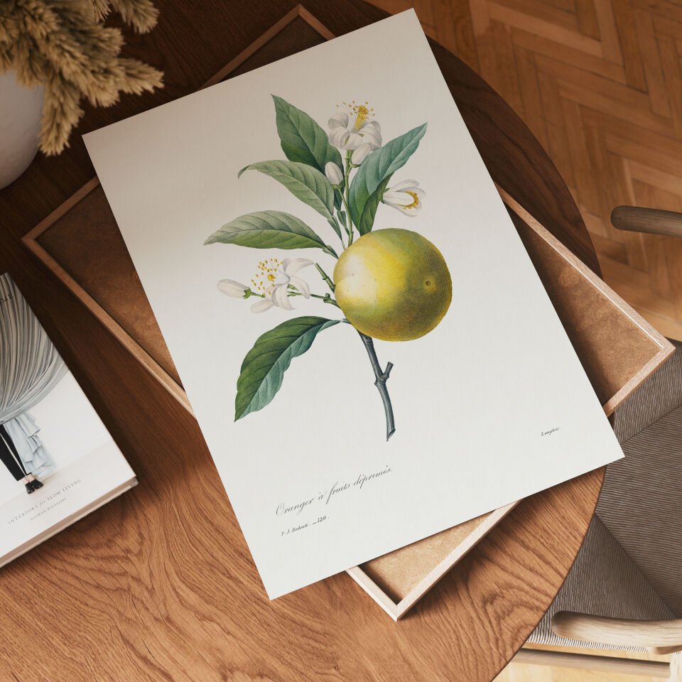Vintage Citrus Botanical Poster
