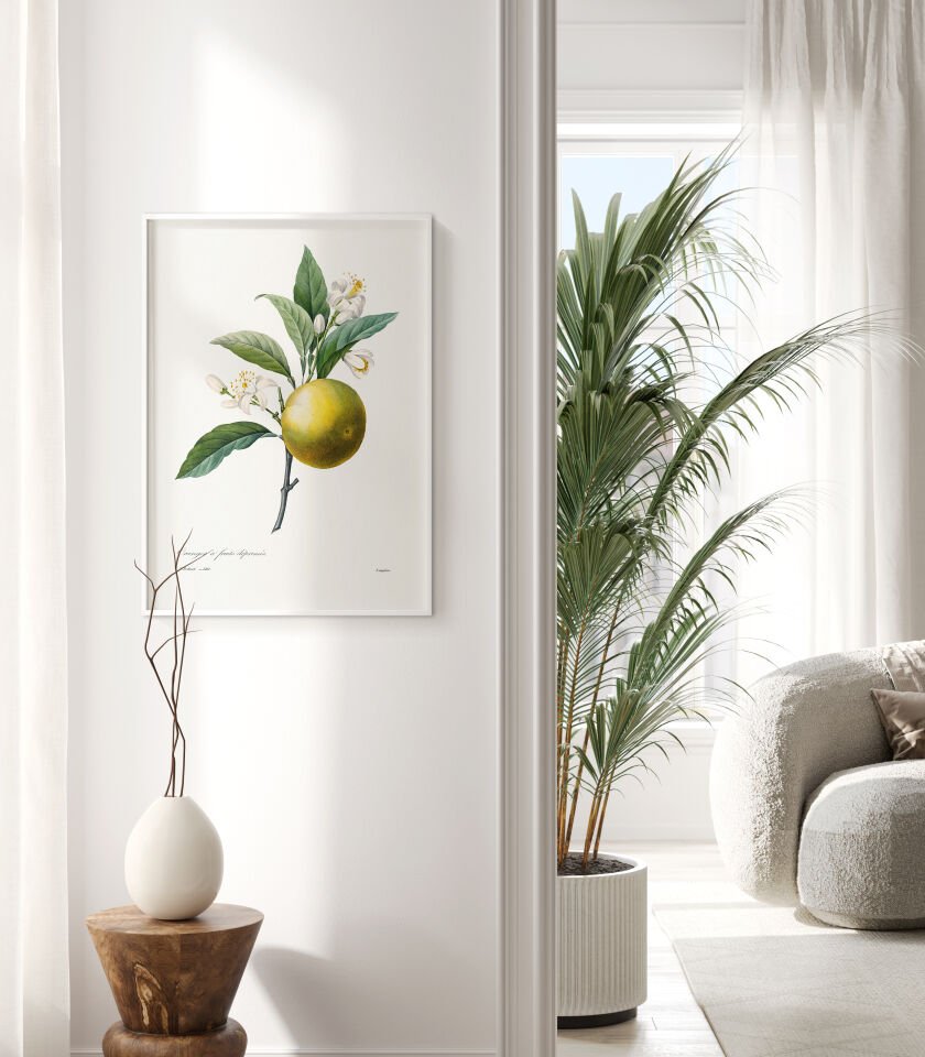 Vintage Citrus Botanical Poster